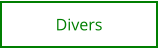 Divers